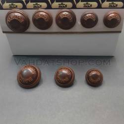 دکمه طرح چوب فندقی